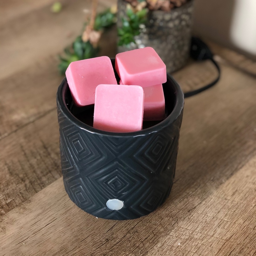 WATERMELON WAX MELTS HANDMADE GIFT